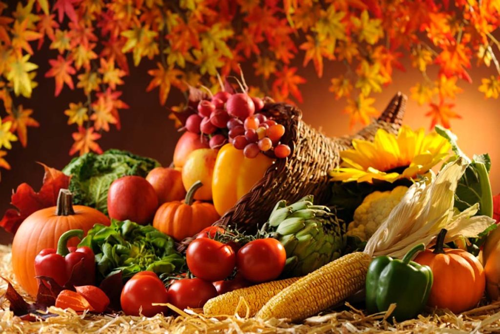 Vier Wurzelgemüse, die Anfang August ausgesät werden müssen, um im Herbst eine Ernte köstlicher Gemüse zu erzielen