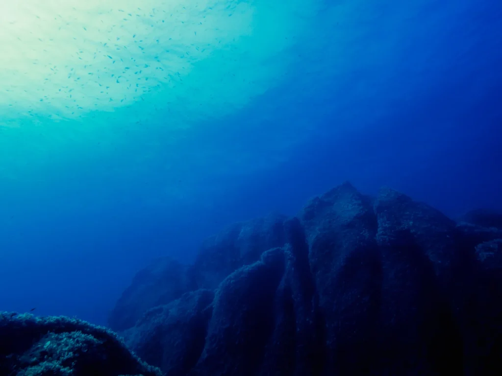 In den Tiefen des Pazifischen Ozeans wurden 20 große Strukturen entdeckt. Wissenschaftler haben sie untersucht.