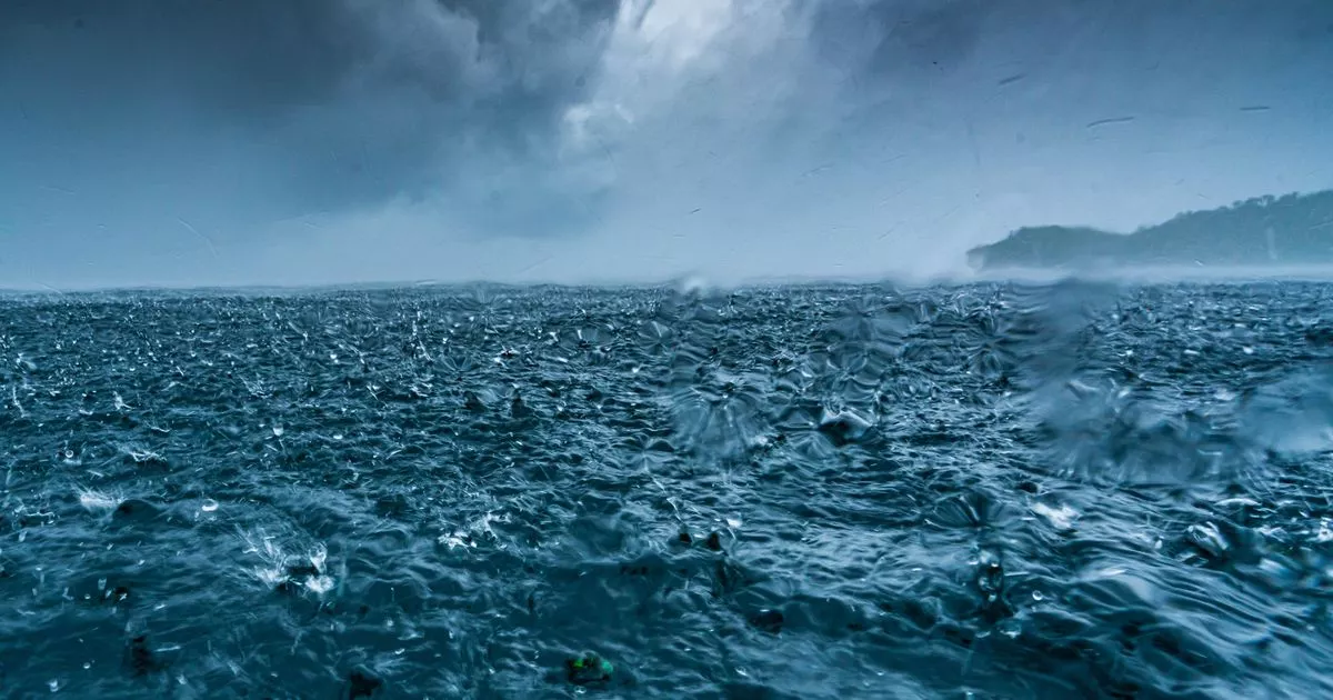 Gefährliche Veränderungen im Atlantik. Europa bereitet sich auf extreme Winter und Dürren vor
