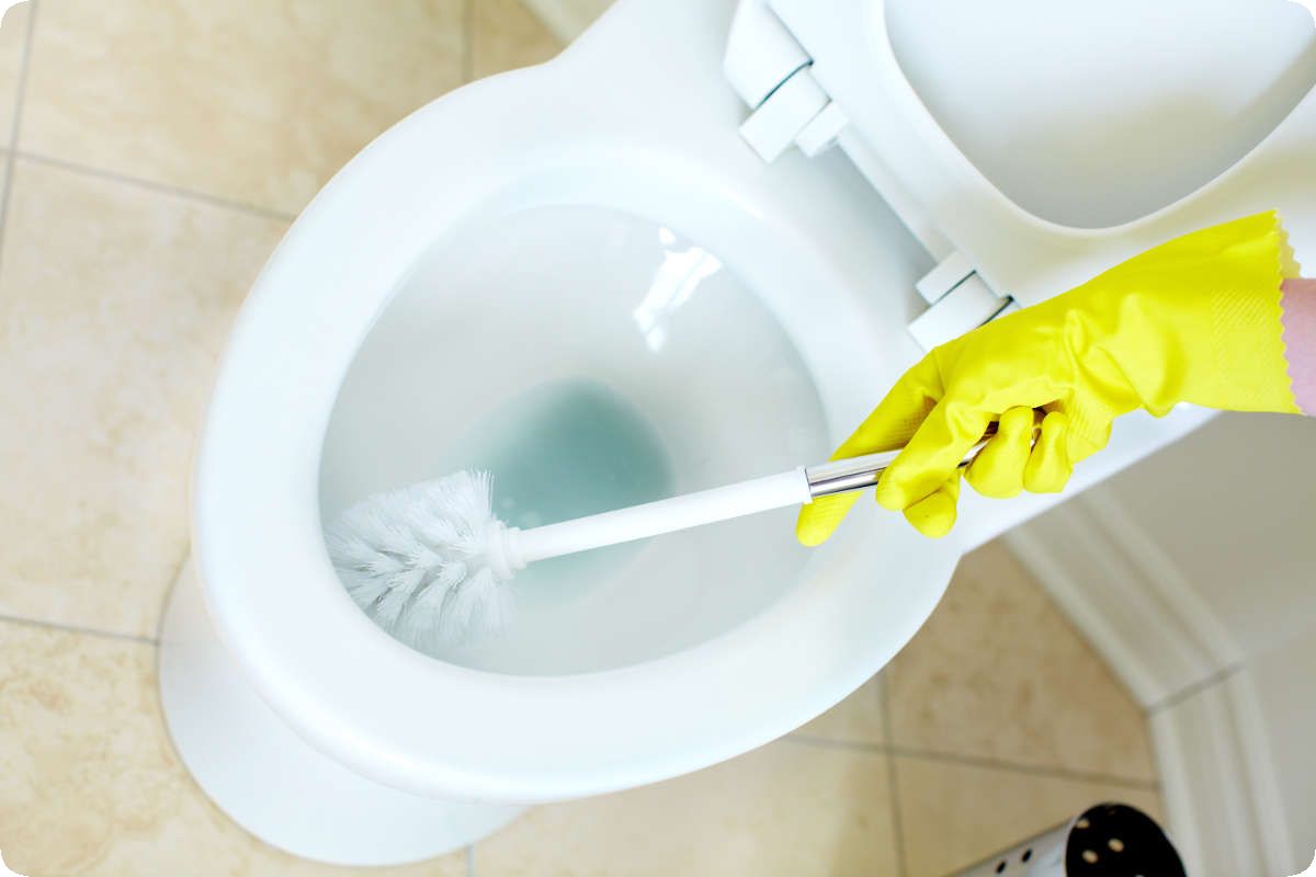 Wie man aus Zutaten, die in jedem Haushalt vorhanden sind, ein Reinigungsmittel für die Toilette herstellt