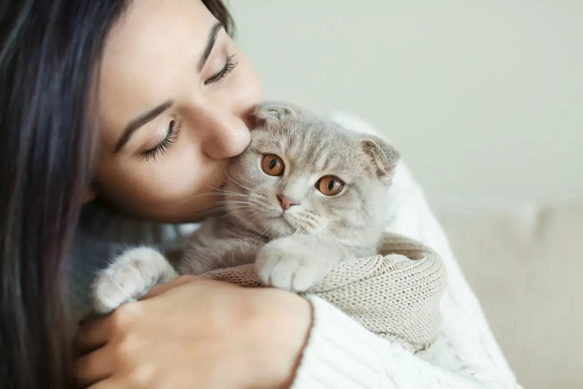 Wie eine Katze ihren Lieblingsmenschen auswählt, laut Experten Man sagt, Katzen seien kalt, aber wenn sie sich für jemanden entscheiden, tun sie das nach allen Regeln der Kunst. Erfahren Sie, welche kleinen Gesten Sie zu ihrem unzertrennlichen Freund machen.
