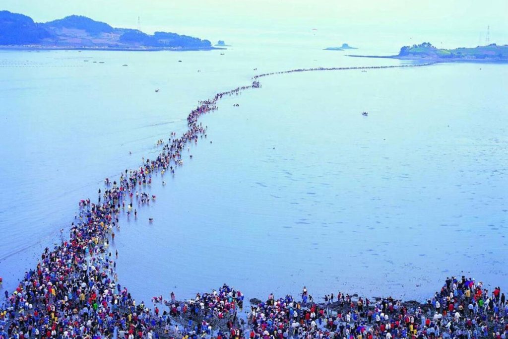 Das Meer teilt sich plötzlich, Touristen haben nur eine Stunde Zeit. Dieses Wunder kann man zweimal im Jahr sehen.