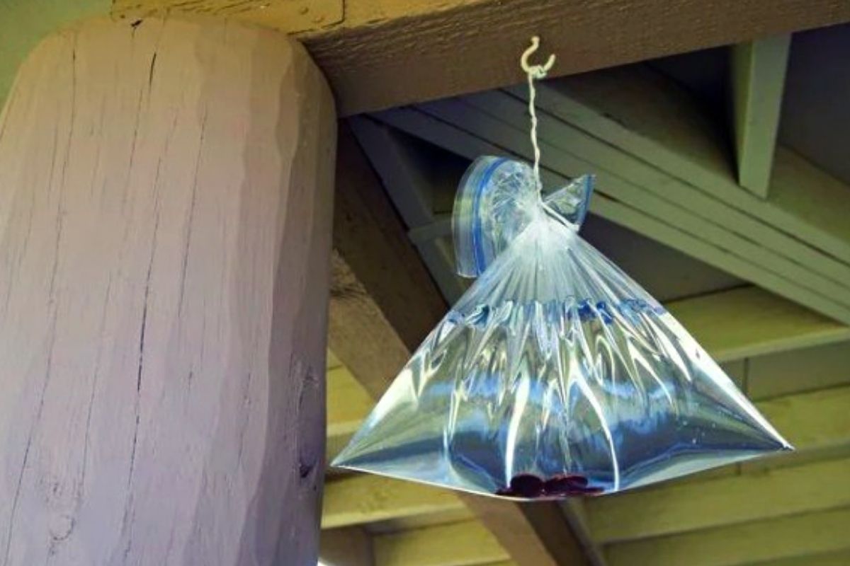 Füllen Sie eine Plastiktüte mit Wasser, legen Sie einige Münzen hinein, hängen Sie sie ans Fenster und schon haben Sie die Erfindung des Jahres.