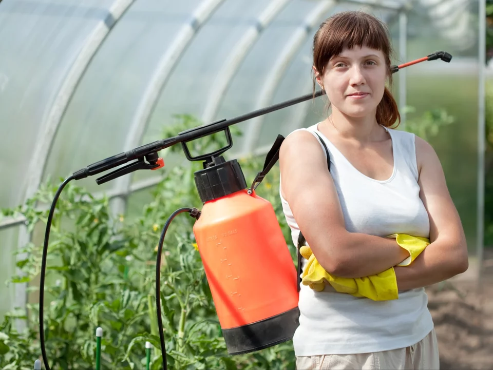 Diese Seife ist ein natürlicher Schutz gegen Kartoffelfäule und andere Krankheiten im Garten