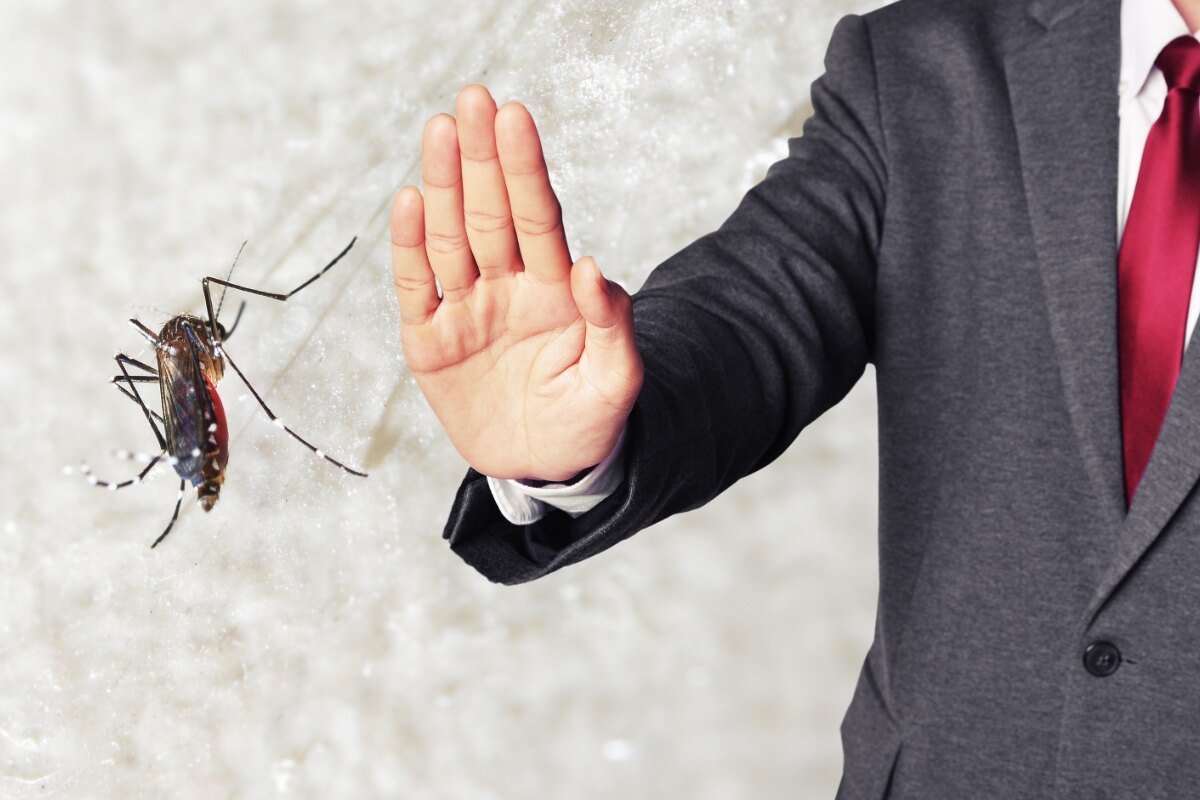 Wie man Mücken vertreibt: drei Tipps vom Experten