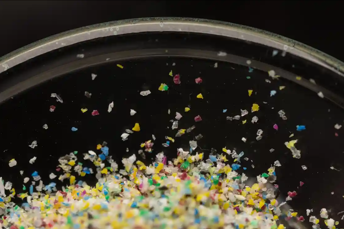 Die entlegensten Orte der Erde sind nicht mehr sicher: Wissenschaftler haben sogar in der Antarktis Plastikpartikel gefunden