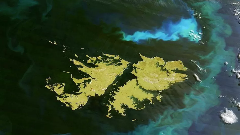 Eine beispiellose Entdeckung auf den Falklandinseln, die die Geschichte komplett verändern könnte