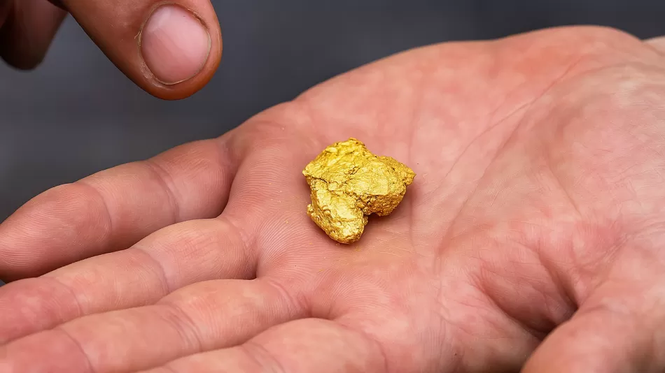 Alle werfen es in den Müll, aber es enthält 22-karätiges Gold, das Tausende von Dollar wert sein kann