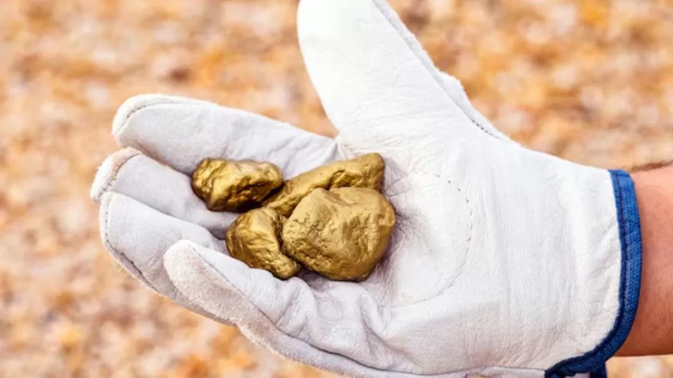 Zustand: Ein Haushaltsgerät, das Sie zu Hause haben und das 22-karätiges Gold enthält