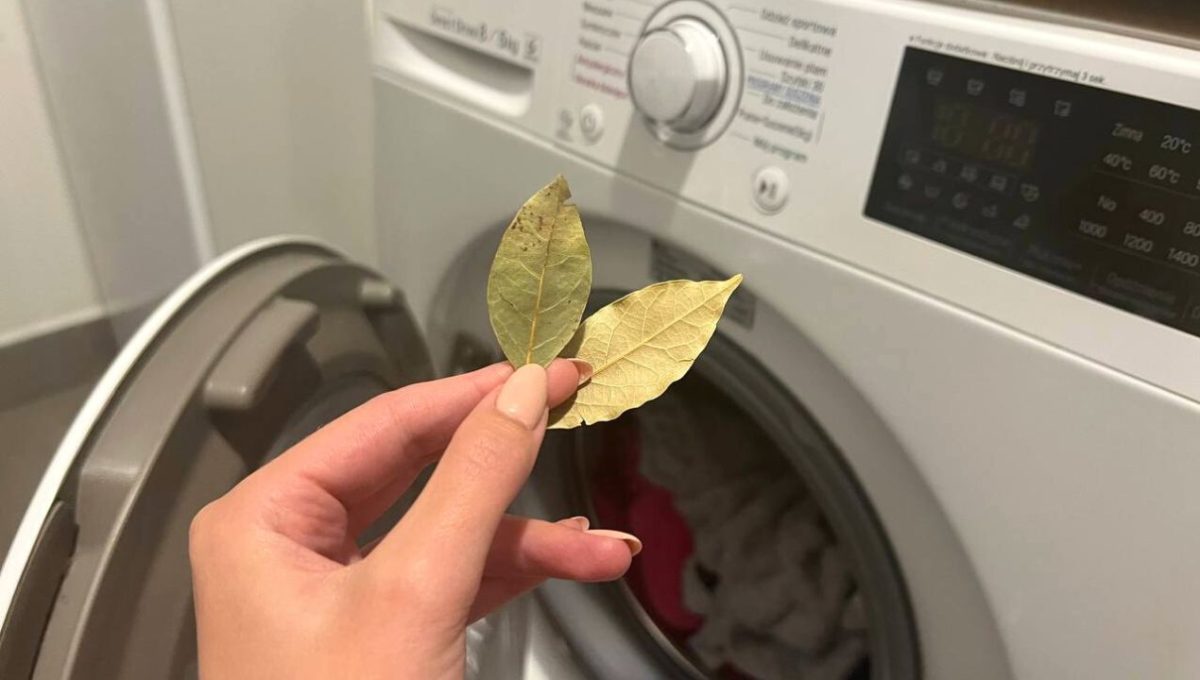 Wozu und warum empfiehlt es sich, Lorbeerblätter in die Waschmaschine zu geben?