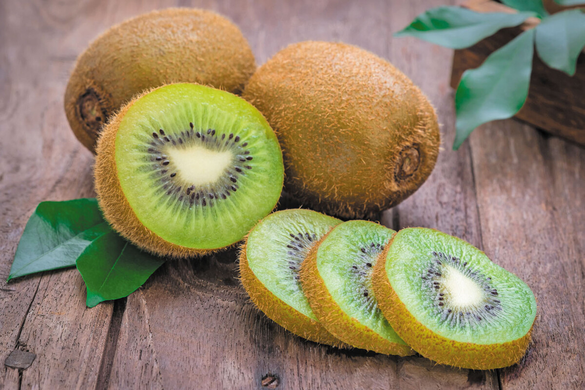 Wozu dient die Kiwischale und warum gilt sie als Naturwunder?