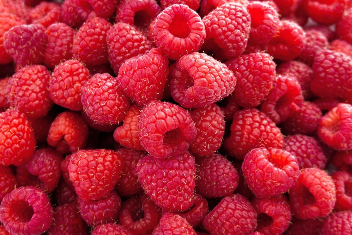 Wie ich Himbeeren mehrere Tage lang frisch halte