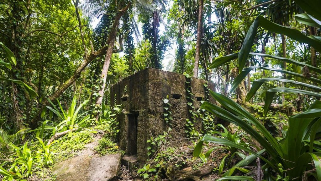 Archäologischer Fund des Jahrhunderts: Eine seit 5000 Jahren verborgene Militärfestung entdeckt