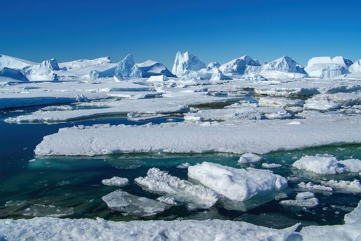 Forscher untersuchen die Antarktis und entdecken 300 Unterwasserstrukturen in einer Tiefe von bis zu 4000 Metern