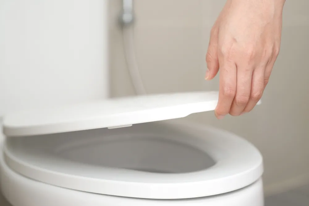 Toiletten haben eine versteckte Funktion. Die Polen wissen nichts davon, aber sie erleichtert das Leben sehr.