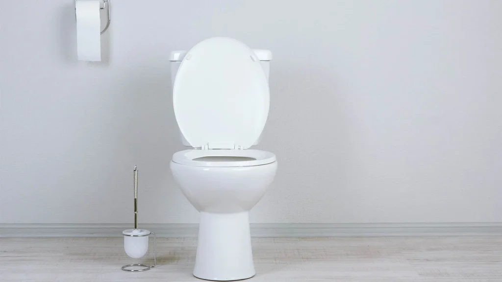 Nicht hocken und kein Papier in die Toilette werfen: Was Sie tun sollten, wenn Sie eine öffentliche Toilette benutzen