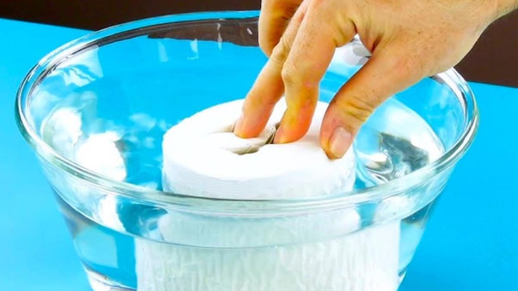 Unglaublicher Trick mit Toilettenpapier und Essig: eine Methode, die immer mehr Menschen anwenden