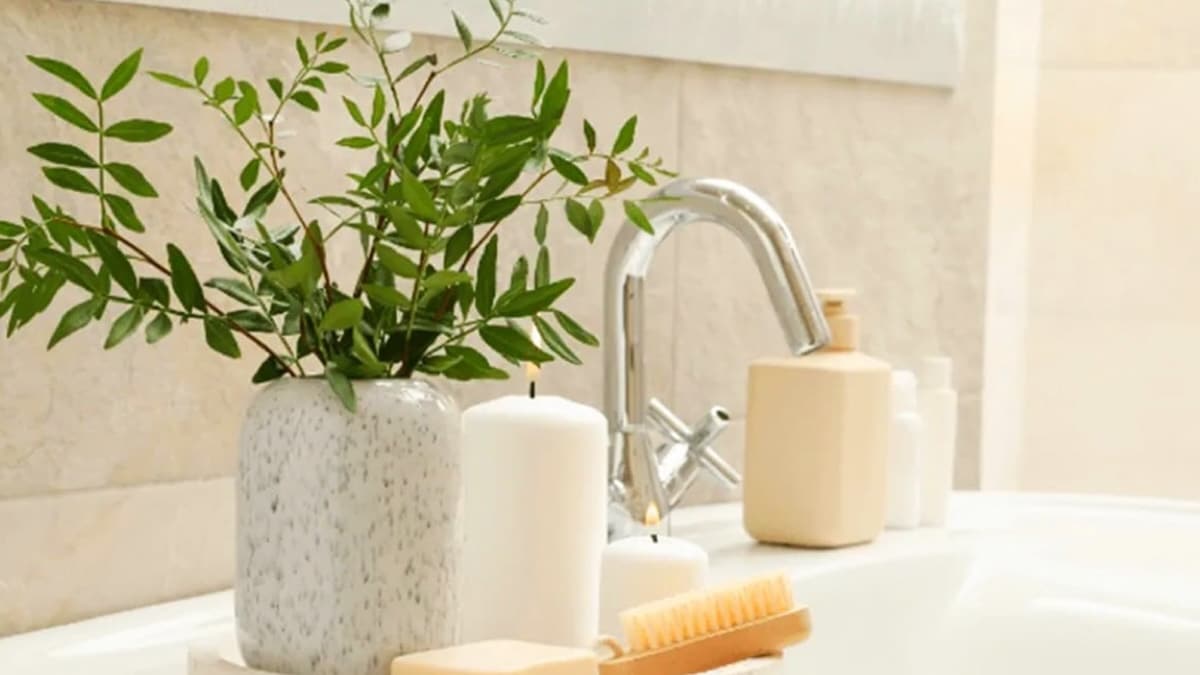 Ein Tipp mit Lorbeerblättern, den immer mehr Menschen für die Dusche nutzen