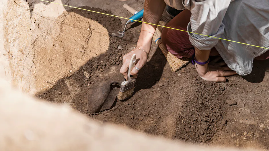 Bahnbrechende Entdeckung in Georgien. Der Fund ist 1,8 Millionen Jahre alt