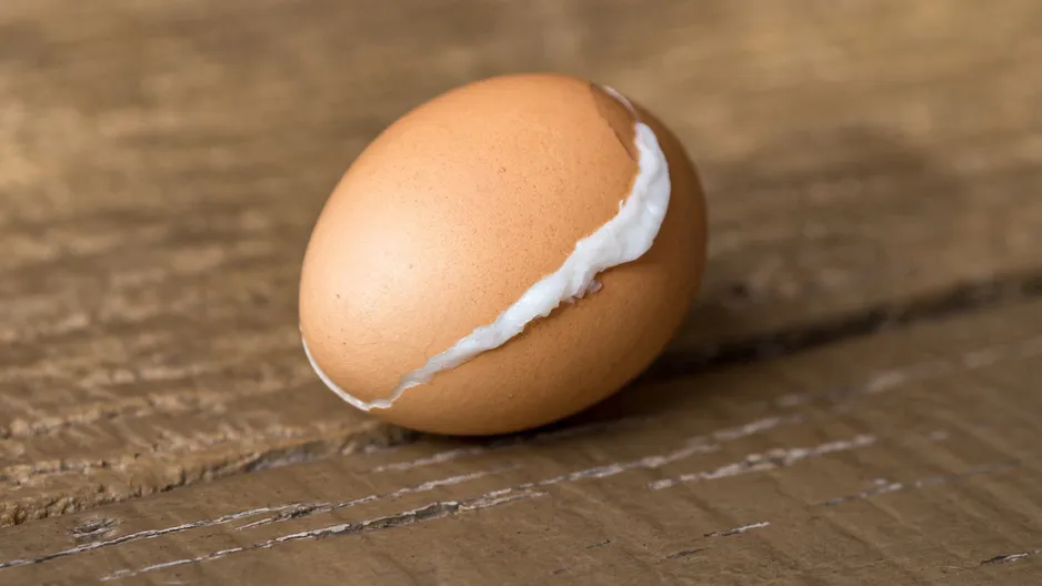 Werfen Sie zwei Scheiben in einen Topf. Die Schale löst sich von selbst.