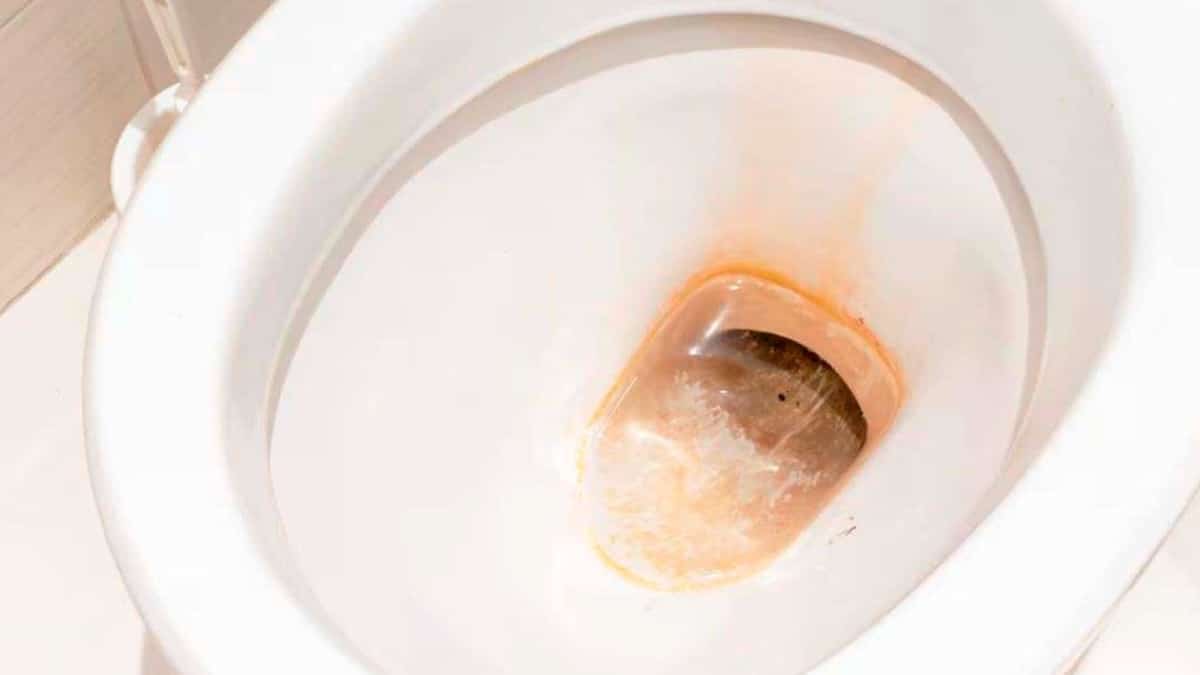 Ohne Bikarbonat: Die effektivste Methode zur Entfernung von Kalkablagerungen aus Toiletten und Wasserhähnen.