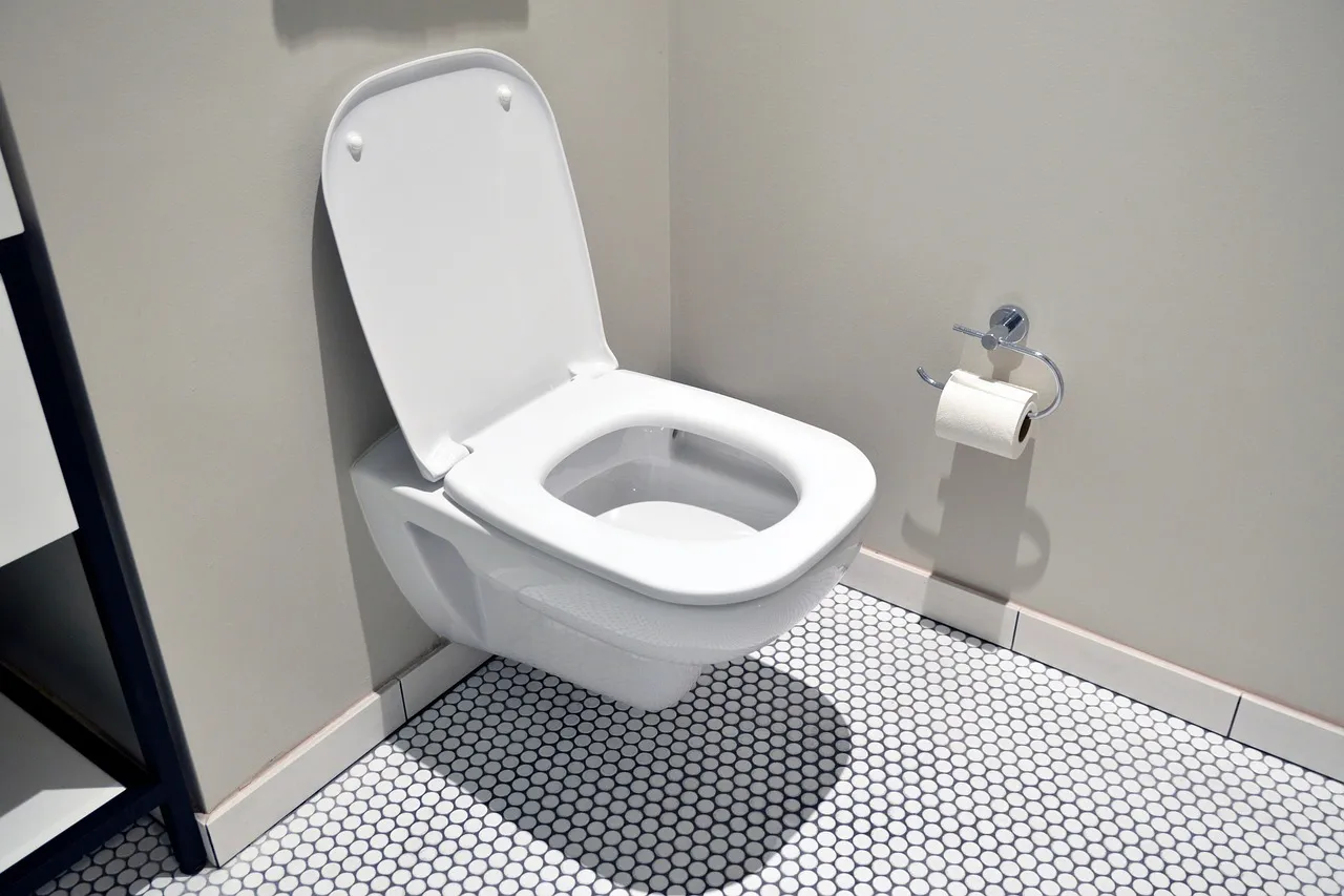 Toiletten haben eine versteckte Funktion. Die Polen wissen nichts davon, aber sie erleichtert das Leben sehr.
