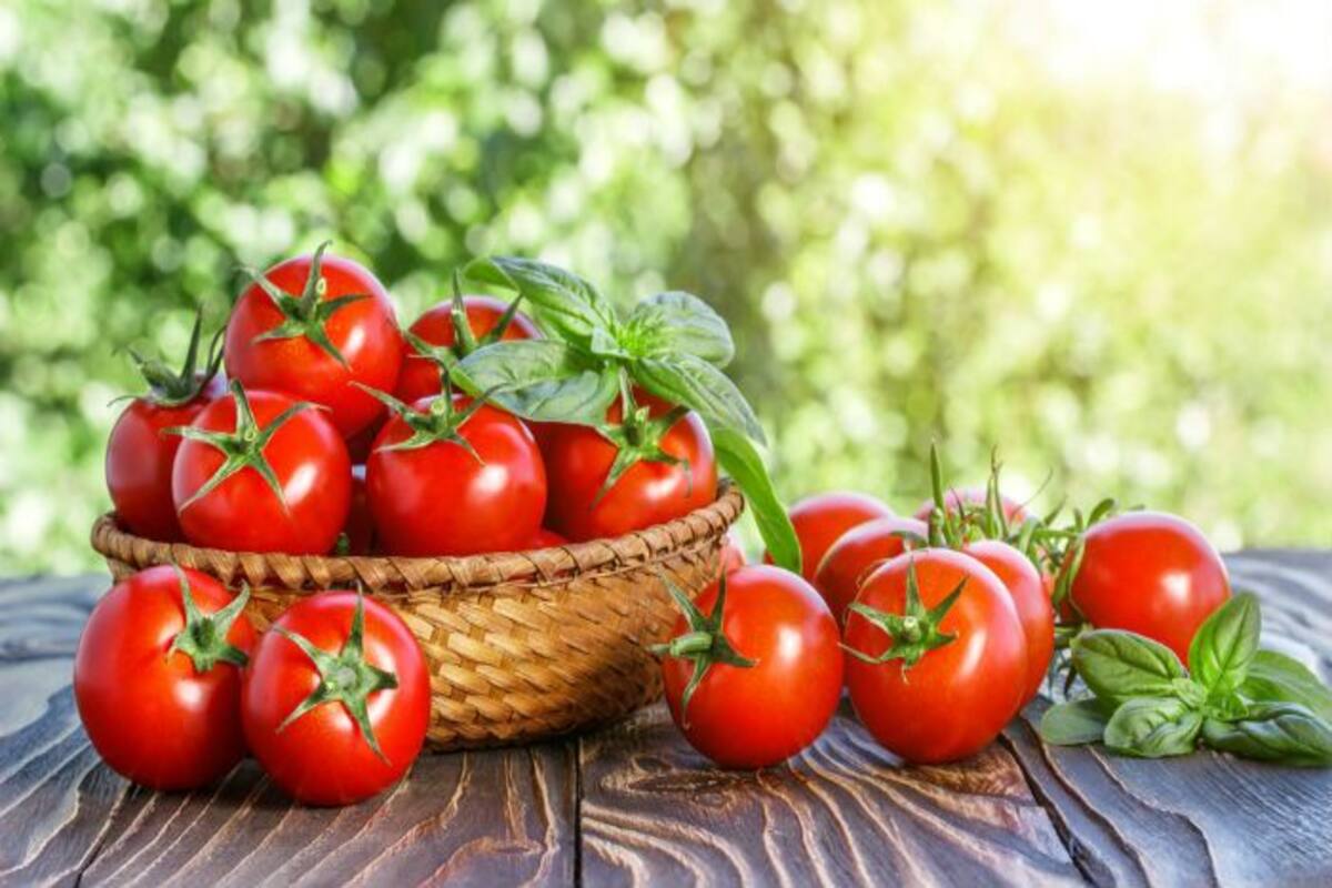 Das Einzige, was Sie Anfang August mit Tomaten tun müssen, damit die letzten Früchte reifen