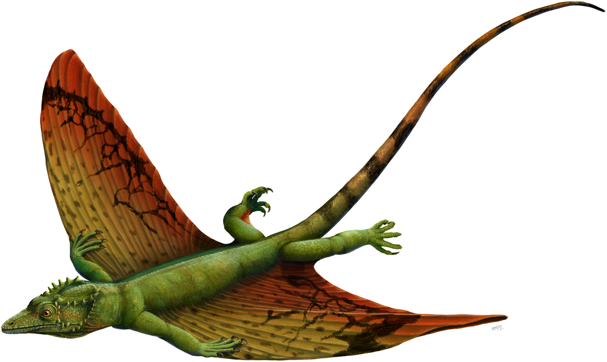 Eine Entdeckung in Frankreich stellt die Evolution auf den Kopf. Diese Versteinerung ist 247 Millionen Jahre alt