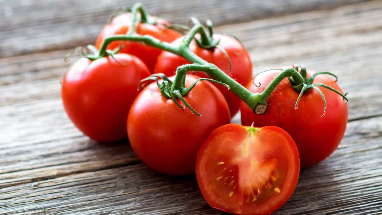 Tomaten: eine bewährte Methode von Gärtnern, um die Ernte bis zum Herbst zu verlängern