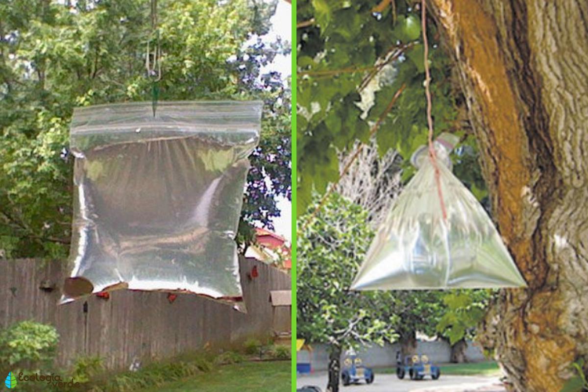 Füllen Sie eine Plastiktüte mit Wasser, legen Sie einige Münzen hinein, hängen Sie sie ans Fenster und schon haben Sie die Erfindung des Jahres.