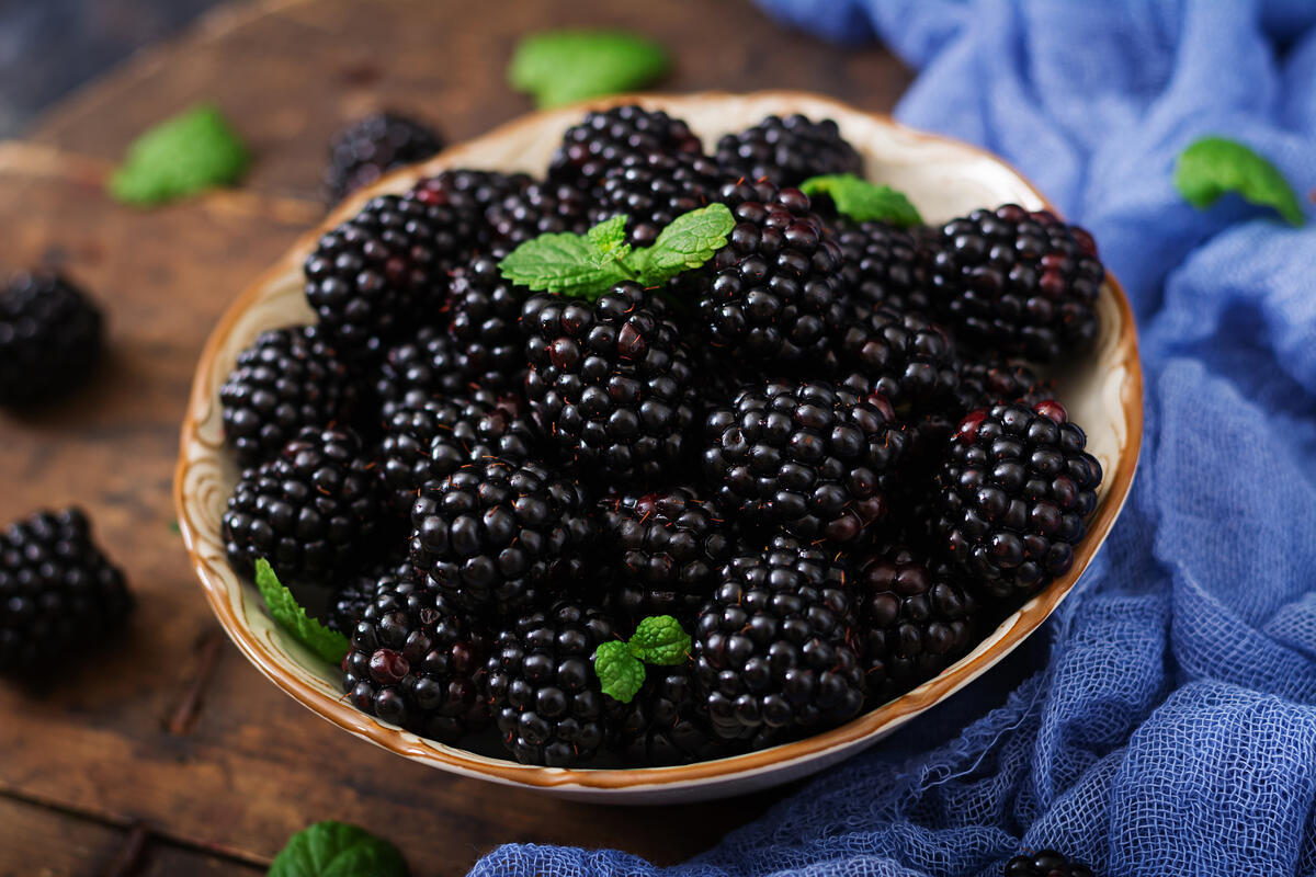 Diese schwarze Frucht hat eine enorme Kraft. Sie senkt den Blutzuckerspiegel, stärkt die Sehkraft und das Herz.