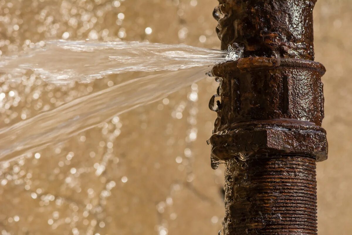Wenn jede Minute eines Wasserlecks Sie ein Vermögen kostet: professionelle Hilfe, die Schäden in Höhe von Tausenden von Euro verhindert.