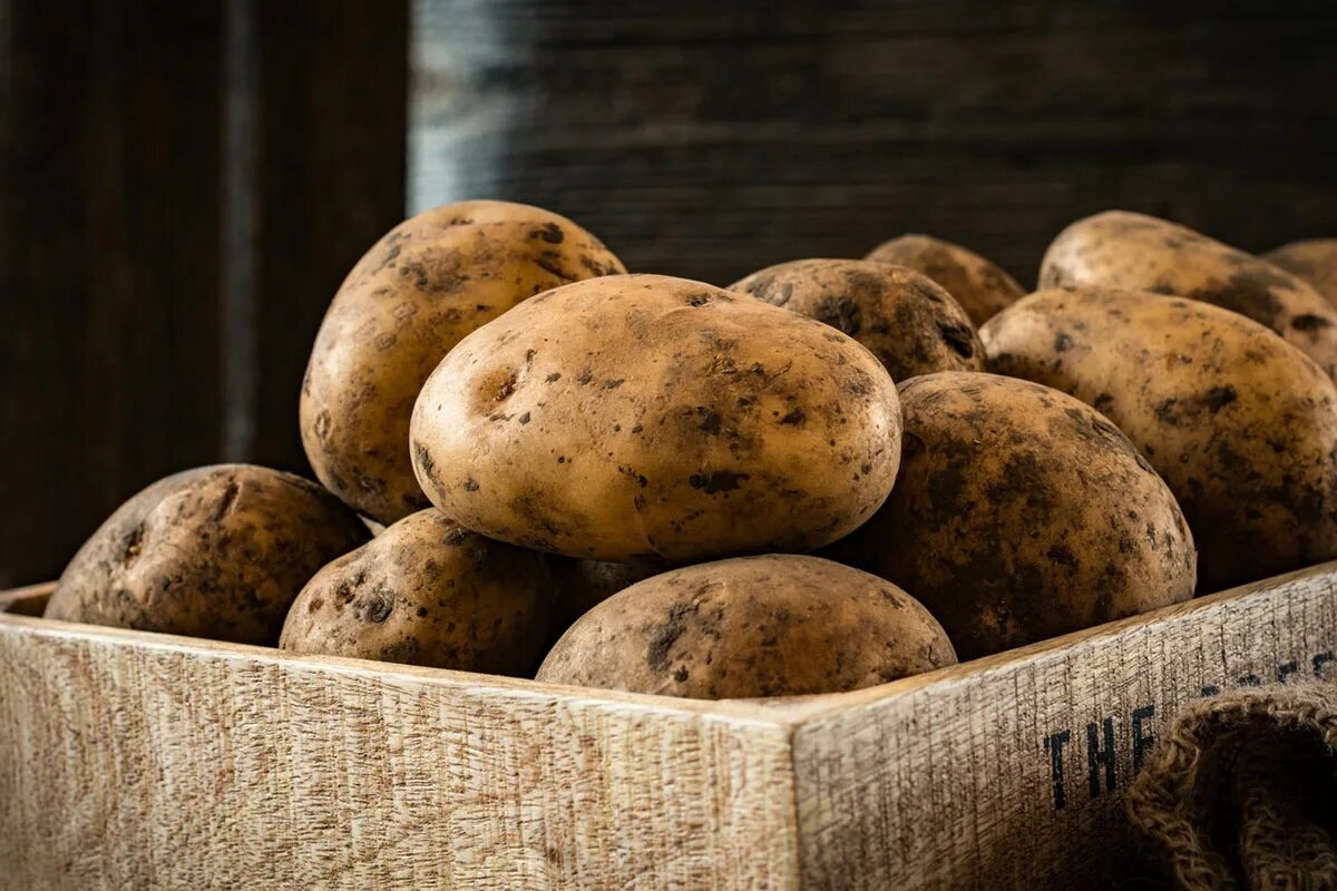Wie man Kartoffeln im August pflanzt, um im Herbst die letzte Ernte einzuholen.