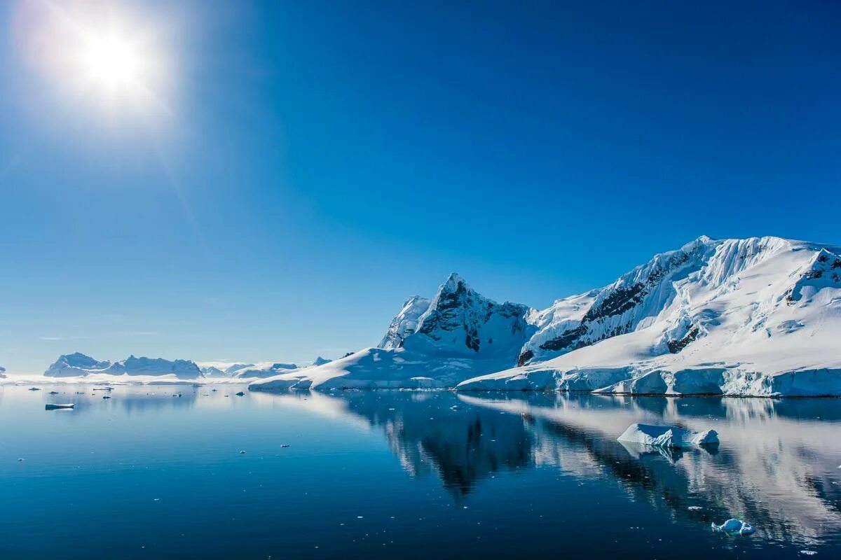Spanische Wissenschaftler tauchten in das Eis der Antarktis ein und entdeckten 332 bisher unbekannte Unterwasser-Kanonen