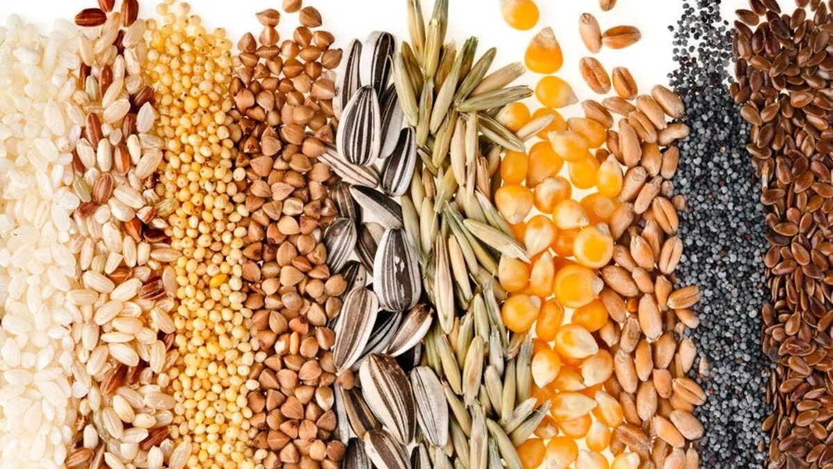 Diese winzigen Samen stabilisieren den Blutzuckerspiegel und reduzieren Angstzustände: Vergessen Sie Leinsamen und Chiasamen, „Ernährungswissenschaftler werden Sie hassen“