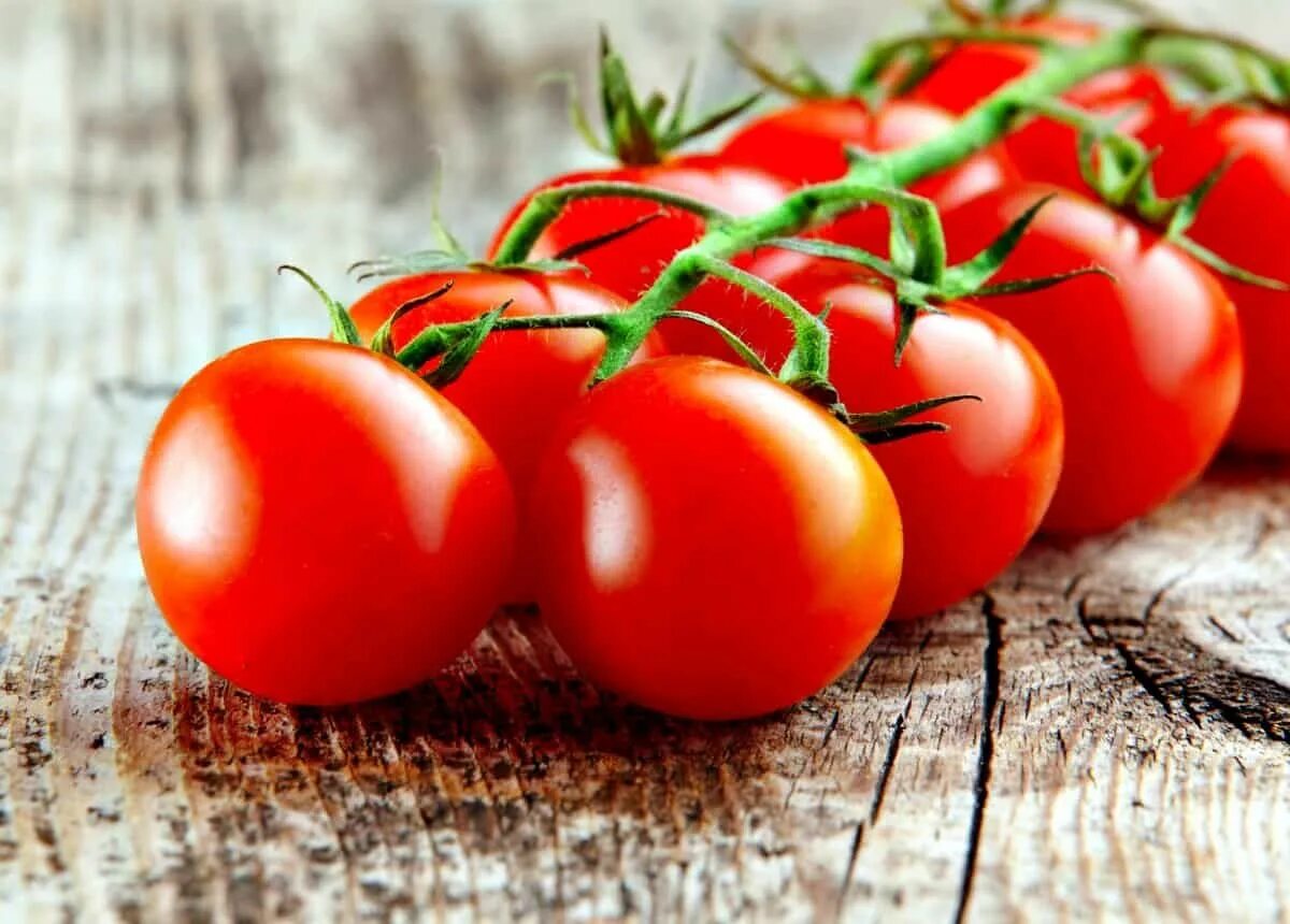 Weder im Obstkorb noch im Kühlschrank: Der ideale Aufbewahrungsort für Tomaten ohne Beschädigungen