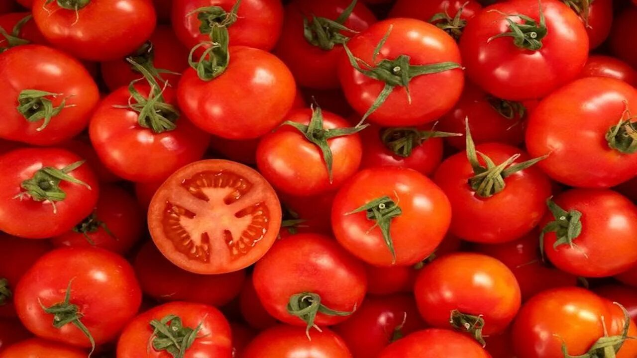 Ernten Sie süße Tomaten dank dieses erstaunlichen Tipps, der keine Kosten (und keinen Abfall) verursacht.
