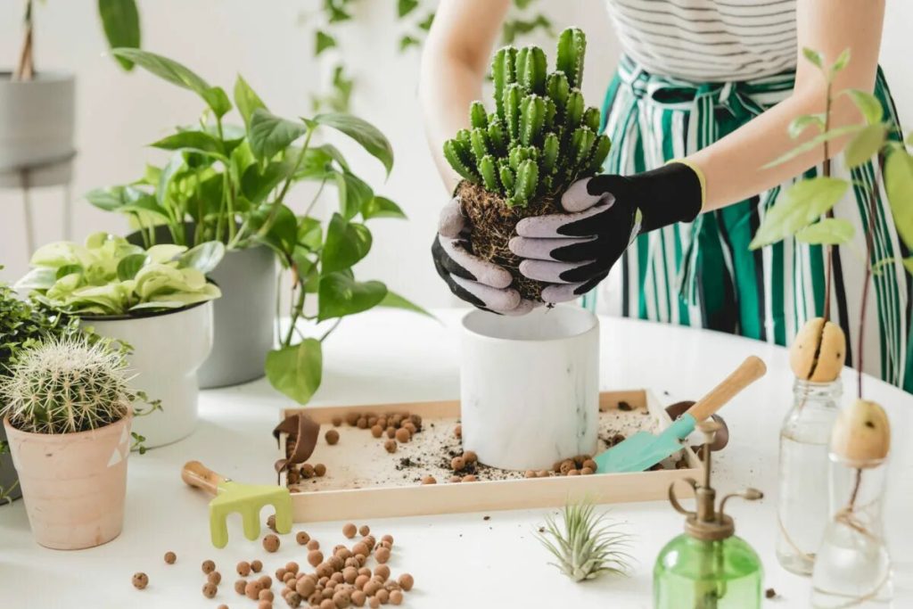 Kaufen Sie keine Blumentöpfe mehr! Diese Alltagsgegenstände verwandeln Ihren Garten in eine plastikfreie Oase.