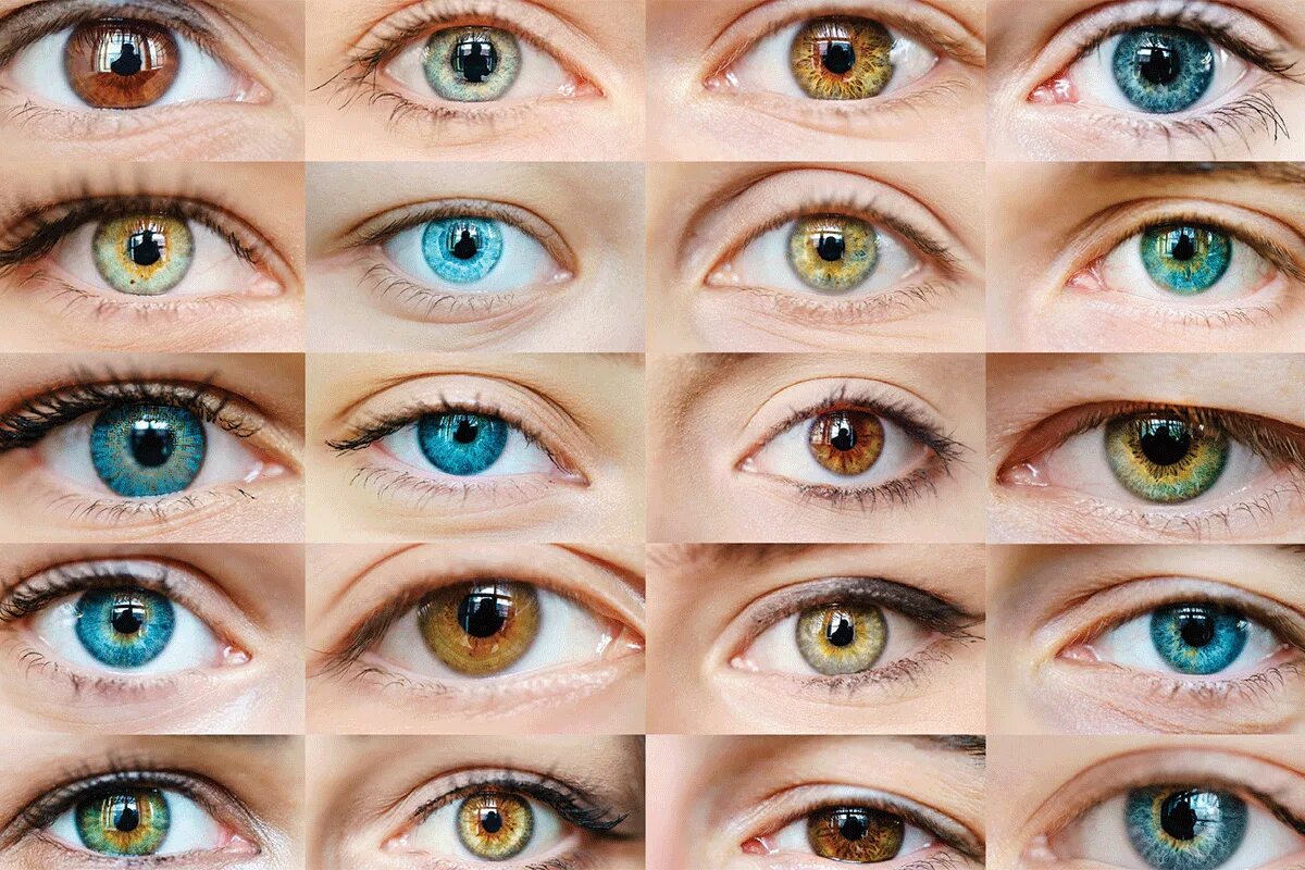 Sagt Ihre Augenfarbe etwas über Ihre Intelligenz aus? Diese Theorie beschäftigt Experten schon seit vielen Jahren.