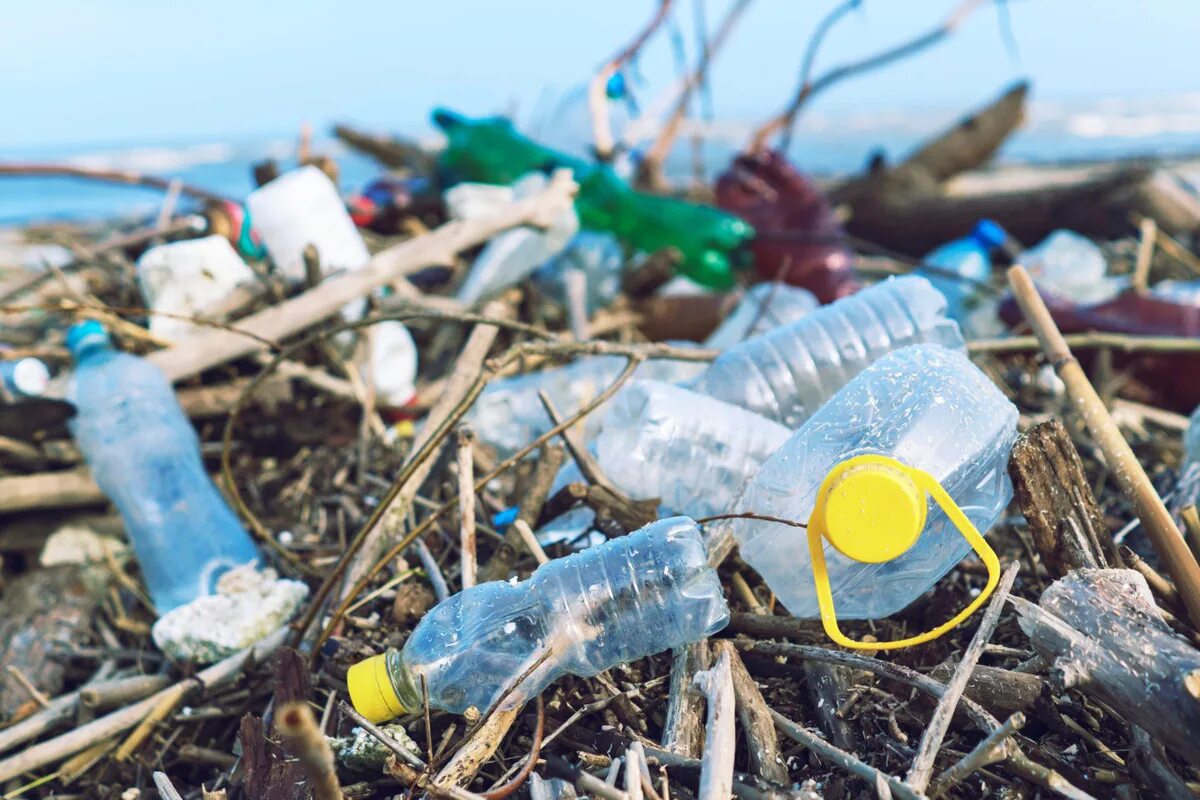 Zersetzt sich in Wasser. Dieses Material ist eine Alternative zu Plastik