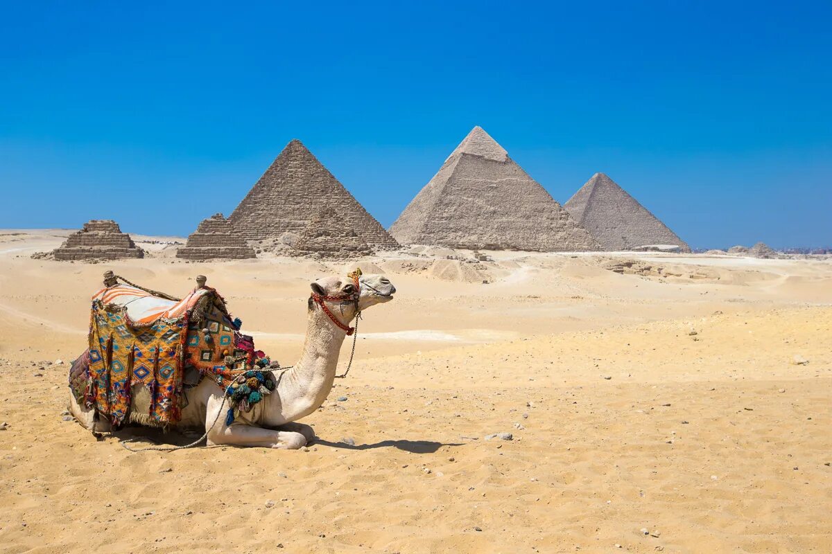 In Ägypten wurden die Ruinen einer 2000 Jahre alten Stadt entdeckt Das Ministerium für Tourismus und Altertümer betonte, dass der Fund „zu einem besseren Verständnis der Zeit der religiösen Umwälzungen in Ägypten beiträgt“.