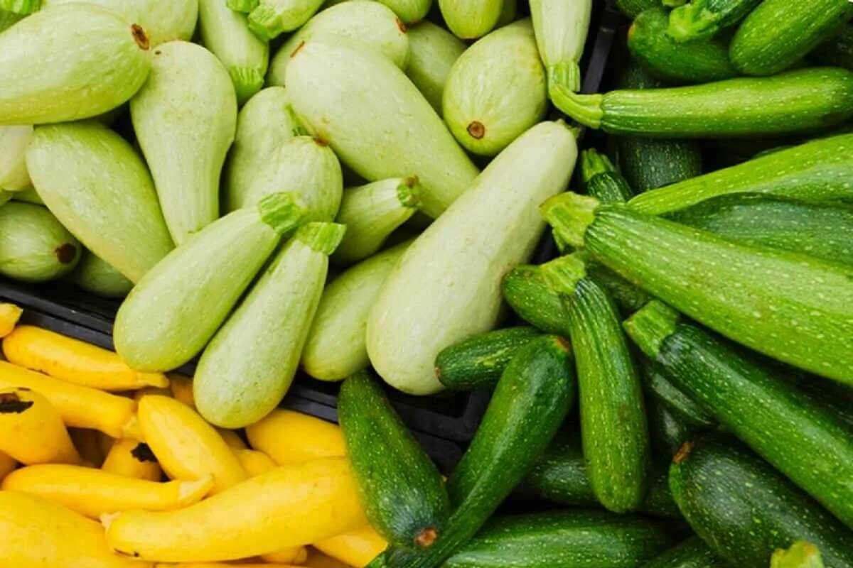 Viel besser als im Kühlschrank: Zucchini sind an diesem Ort bis zu 3 Monate haltbar.