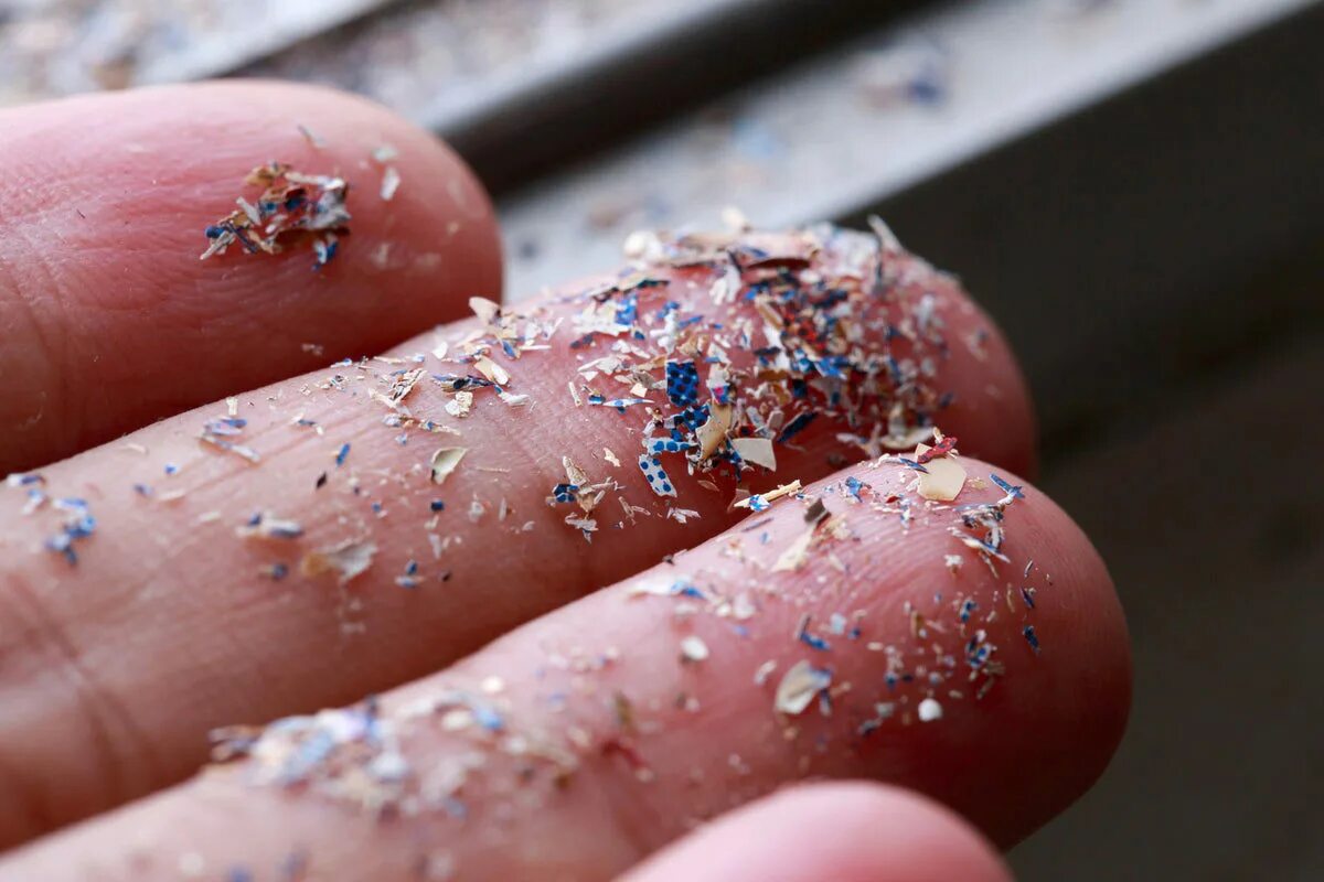 Die entlegensten Orte der Erde sind nicht mehr sicher: Wissenschaftler haben sogar in der Antarktis Plastikpartikel gefunden