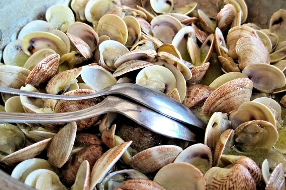 Diese überraschende Zutat schützt Ihre Pflanzen und regeneriert Ihren Gemüsegarten den ganzen Sommer über.