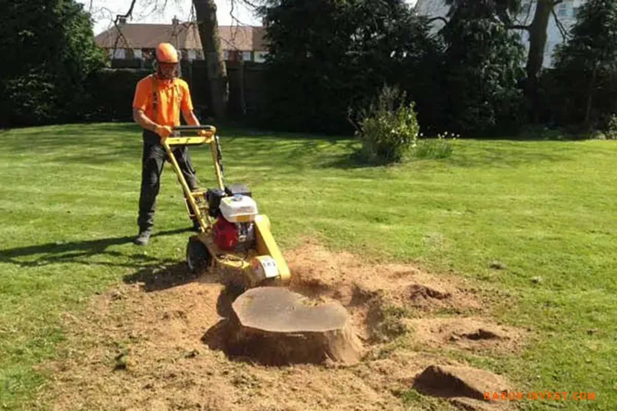 Ohne Mühe, Kosten oder den Einsatz eines Baggers können Sie Baumstümpfe ganz einfach aus Ihrem Garten entfernen.