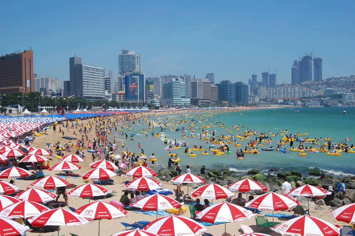 Das Meer teilt sich plötzlich, Touristen haben nur eine Stunde Zeit. Dieses Wunder kann man zweimal im Jahr sehen.