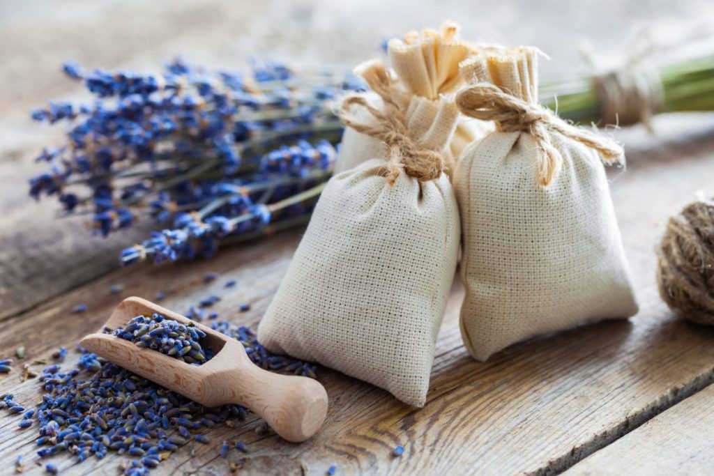 Aromabeutel mit Lavendel – wie stellt man sie her? Wann sollte man Lavendel pflücken, damit er lange duftet?