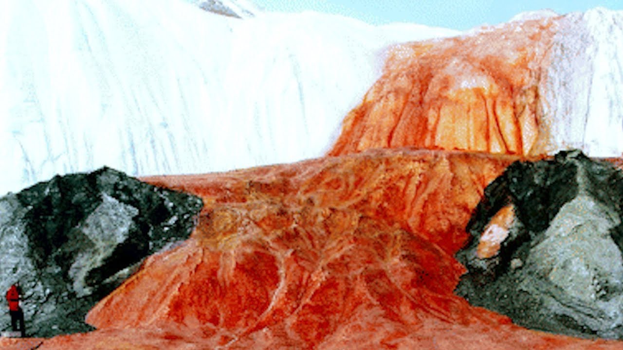 Der Blutwasserfall. Das 100 Jahre alte Rätsel ist gelöst.