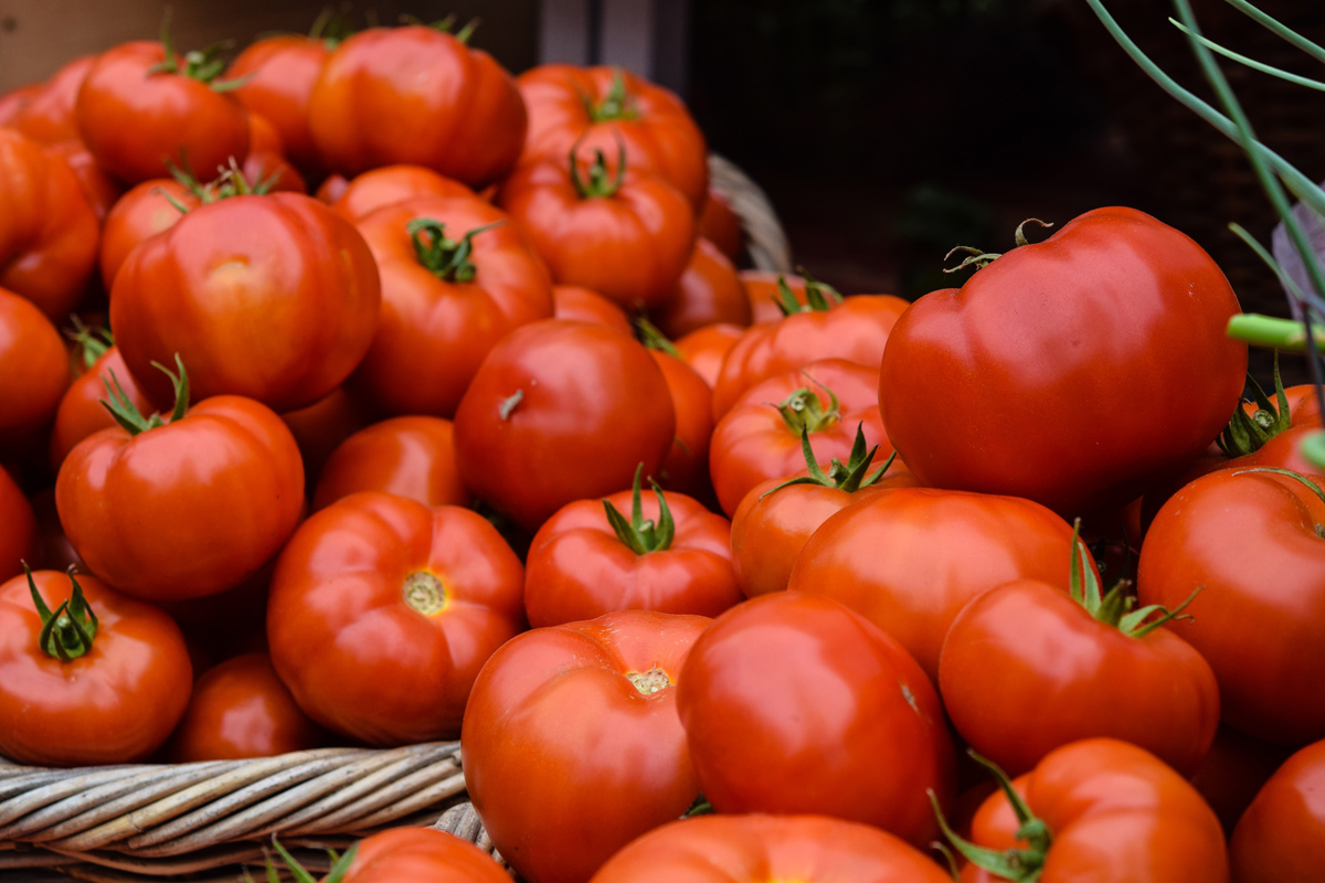 Dieser natürliche Vorgang mitten im Sommer macht Ihre Tomaten schmackhafter und erhöht den Ertrag ohne den Einsatz von Chemikalien.