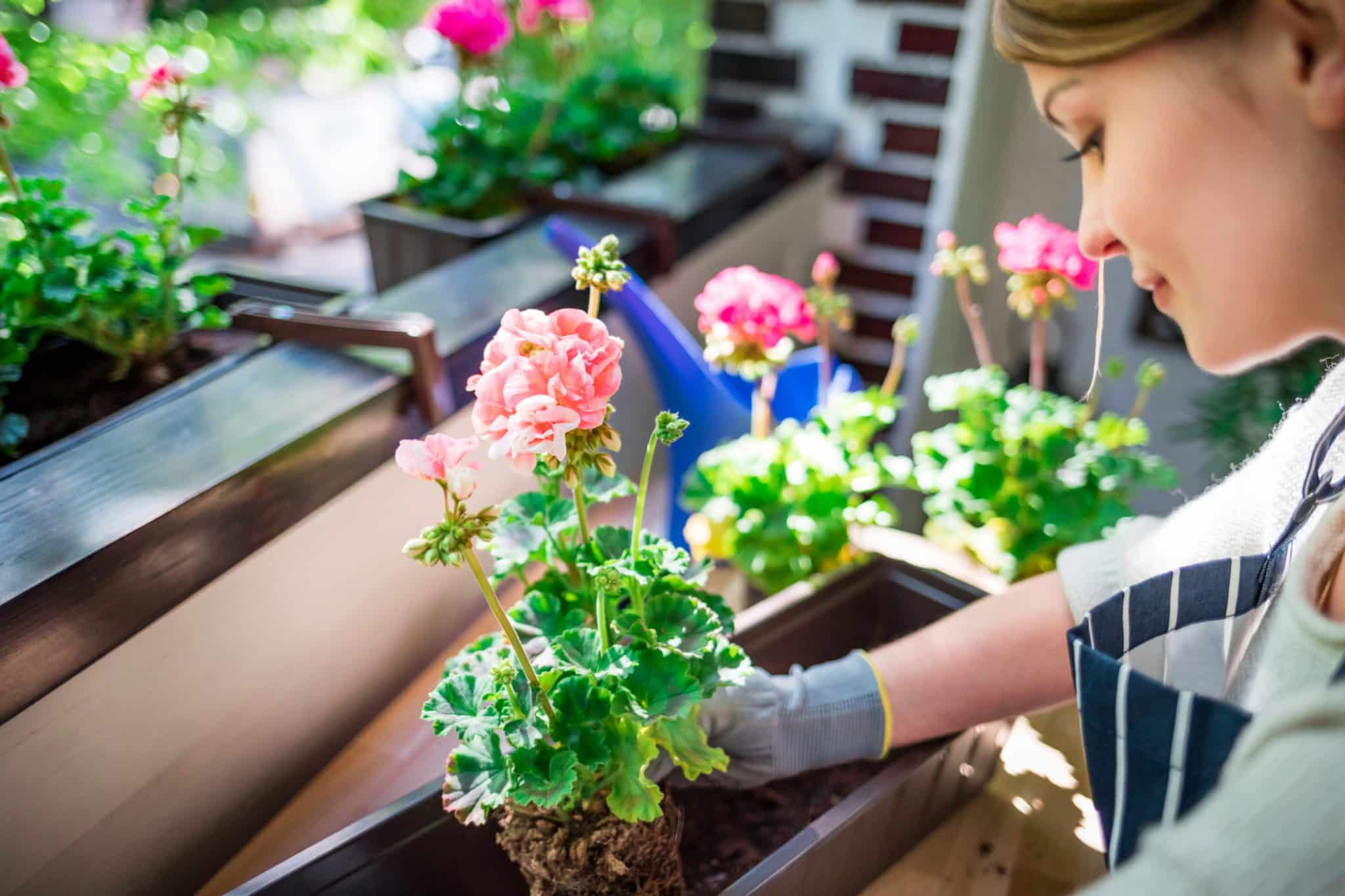 Kaufen Sie keine Blumentöpfe mehr! Diese Alltagsgegenstände verwandeln Ihren Garten in eine plastikfreie Oase.